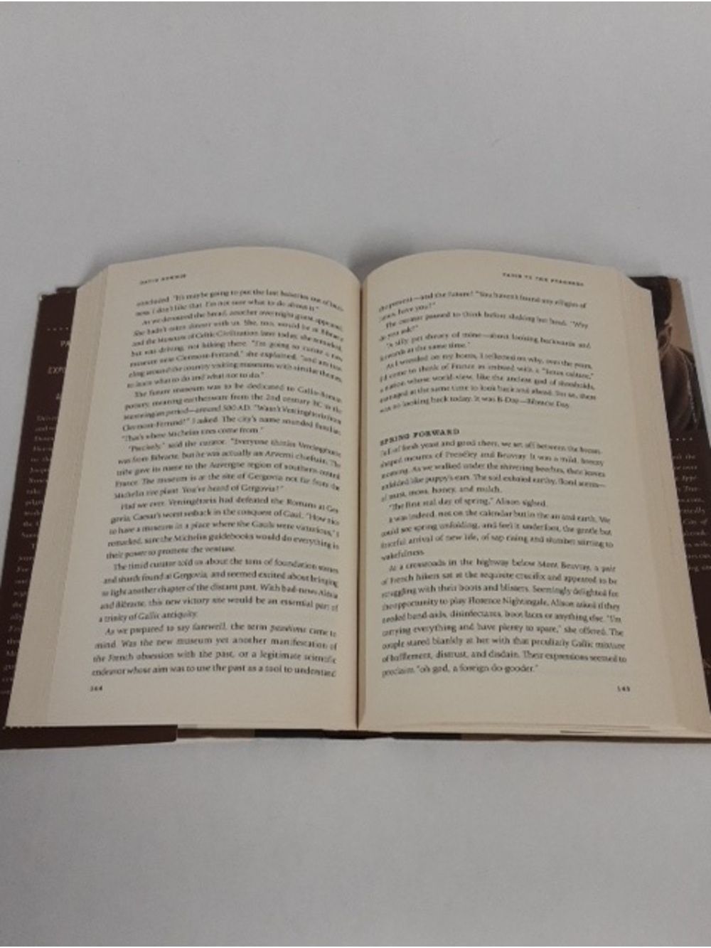Paris To The Pyrenees: A Skeptic Pilgrim Walks The Way Of Saint James Hardcover - Picture 11 of 14